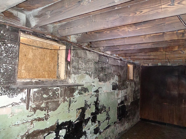 Culpepper_Basement_1.jpg